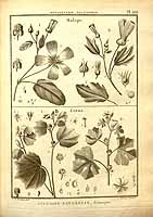  no thumbnail available