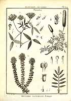  no thumbnail available