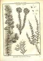  no thumbnail available