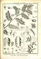  no thumbnail available