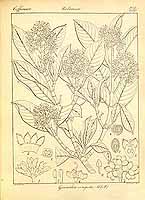  no thumbnail available