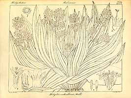  no thumbnail available