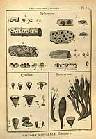  no thumbnail available