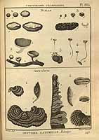  no thumbnail available