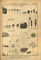  no thumbnail available