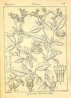  no thumbnail available