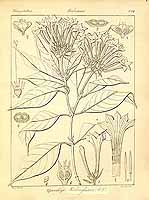  no thumbnail available