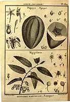  no thumbnail available