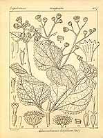  no thumbnail available