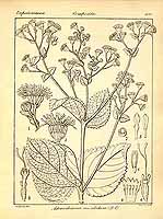  no thumbnail available