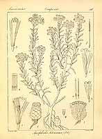  no thumbnail available