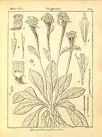  no thumbnail available