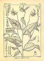  no thumbnail available