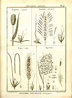  no thumbnail available