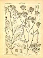  no thumbnail available