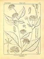  no thumbnail available