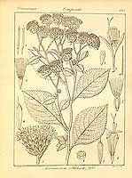  no thumbnail available