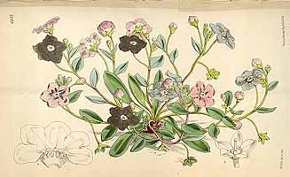  no thumbnail available