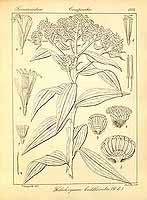  no thumbnail available