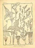  no thumbnail available