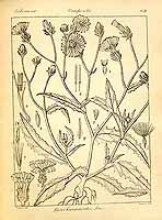  no thumbnail available