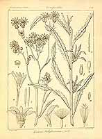  no thumbnail available