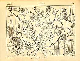  no thumbnail available