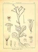  no thumbnail available