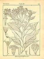  no thumbnail available