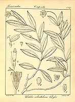  no thumbnail available