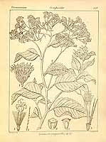  no thumbnail available