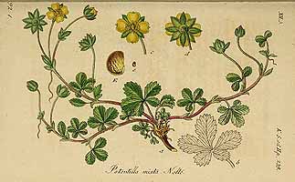  no thumbnail available