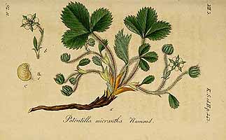  no thumbnail available