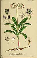  no thumbnail available