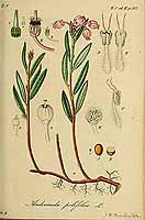  no thumbnail available