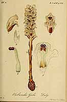  no thumbnail available