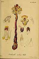  no thumbnail available