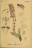  no thumbnail available