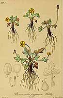  no thumbnail available