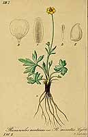  no thumbnail available