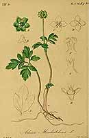  no thumbnail available