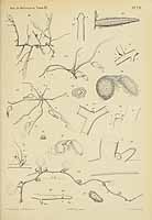  no thumbnail available