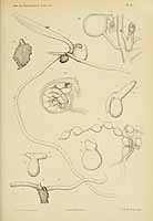  no thumbnail available