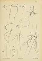  no thumbnail available