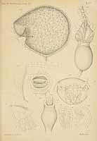  no thumbnail available