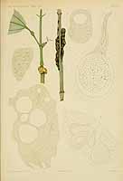  no thumbnail available