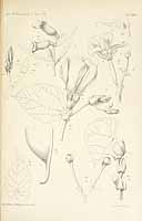  no thumbnail available