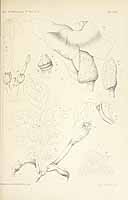  no thumbnail available