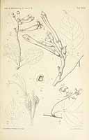  no thumbnail available