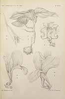  no thumbnail available